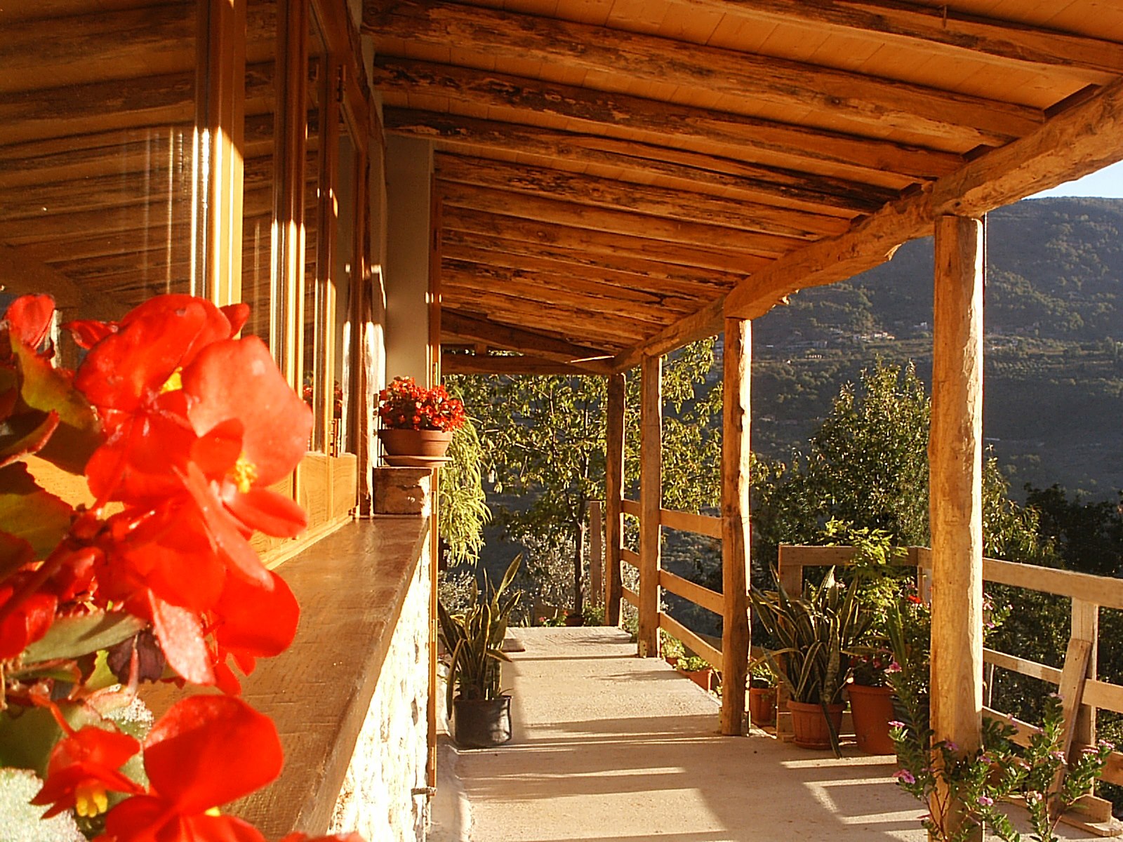 Fattoria Fabio